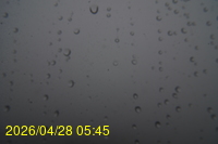 Img20260428_054524.jpg