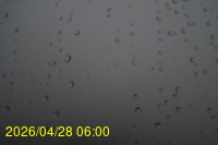 Img20260428_060024.jpg