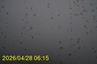 Img20260428_061524.jpg