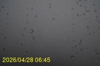 Img20260428_064524.jpg