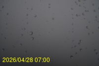 Img20260428_070024.jpg