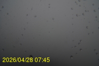 Img20260428_074524.jpg
