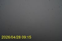 Img20260428_091524.jpg