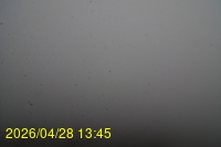 Img20260428_134525.jpg