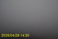 Img20260428_143025.jpg