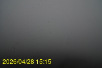 Img20260428_151525.jpg