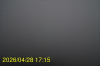 Img20260428_171526.jpg