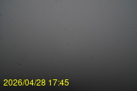 Img20260428_174526.jpg