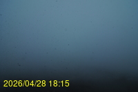 Img20260428_181526.jpg