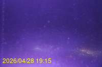Img20260428_191526.jpg