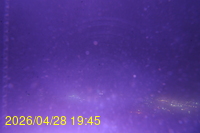Img20260428_194526.jpg
