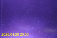 Img20260428_200026.jpg