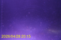 Img20260428_201526.jpg