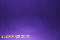 Img20260428_203026.jpg