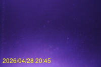 Img20260428_204526.jpg