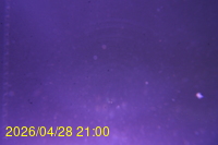 Img20260428_210026.jpg