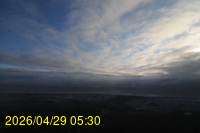Img20260429_053027.jpg