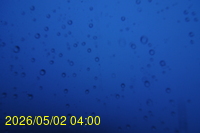 Img20260502_040037.jpg