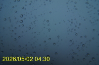 Img20260502_043037.jpg
