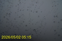 Img20260502_051537.jpg