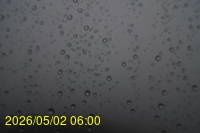 Img20260502_060037.jpg