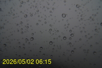 Img20260502_061538.jpg
