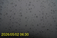 Img20260502_063038.jpg