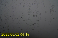 Img20260502_064538.jpg