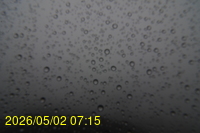 Img20260502_071538.jpg