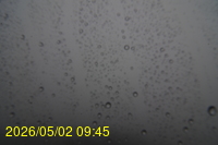 Img20260502_094538.jpg