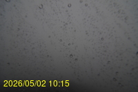 Img20260502_101538.jpg