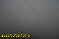 Img20260502_104538.jpg