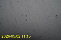 Img20260502_111538.jpg