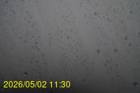Img20260502_113038.jpg