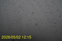 Img20260502_121538.jpg