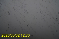 Img20260502_123038.jpg