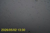 Img20260502_133039.jpg
