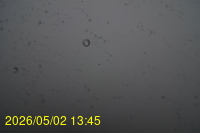 Img20260502_134539.jpg