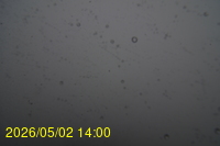 Img20260502_140039.jpg