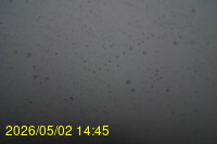 Img20260502_144539.jpg