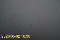Img20260502_163039.jpg