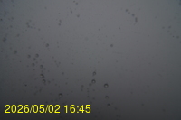 Img20260502_164539.jpg