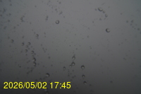 Img20260502_174539.jpg