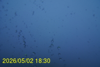 Img20260502_183039.jpg