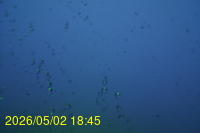 Img20260502_184539.jpg