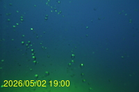 Img20260502_190039.jpg
