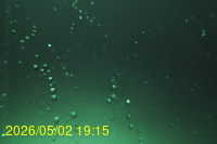 Img20260502_191539.jpg