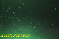Img20260502_193039.jpg
