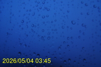 Img20260504_034544.jpg