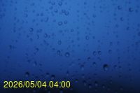 Img20260504_040044.jpg